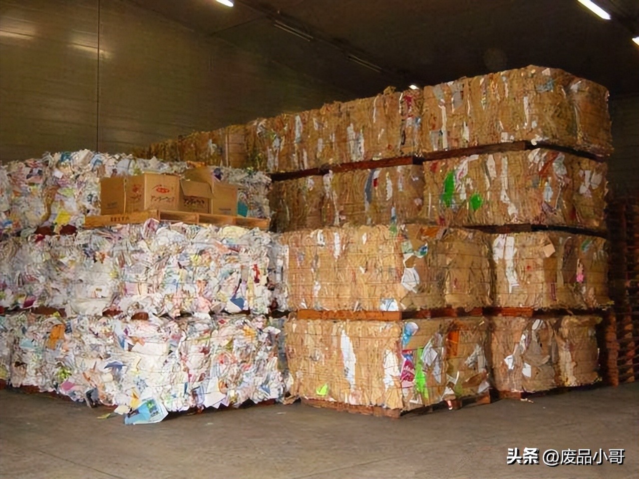 湖北废纸价格最新行情与市场趋势全面解析