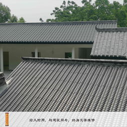 精致复古之选 贵州都匀尚典建材高分子仿古装饰屋面瓦解读